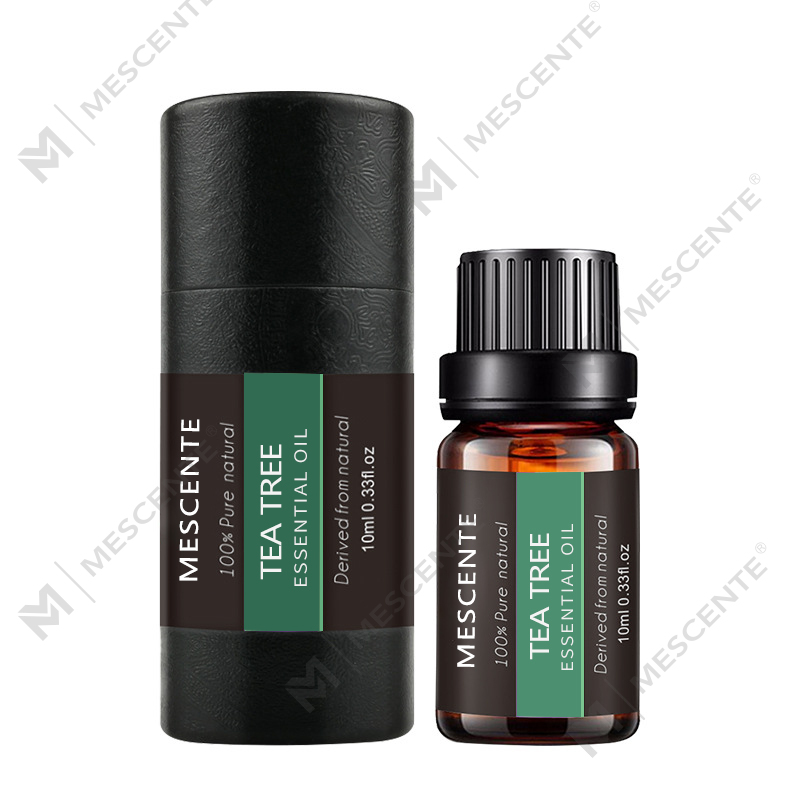 M&Scent Designer Organik Alami Massal Reed Diffuser Hotel Rumah Parfum Pria Minyak Wangi Tahan Lama