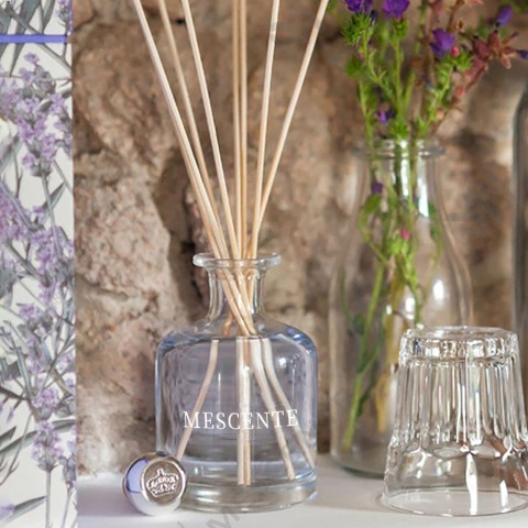 Perbedaan Antara Aroma Reed Diffuser dan Humidifier